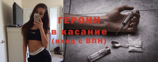 твердый Арсеньев