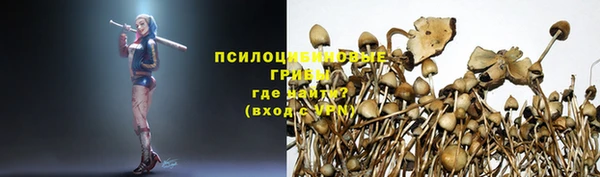 первитин Армянск